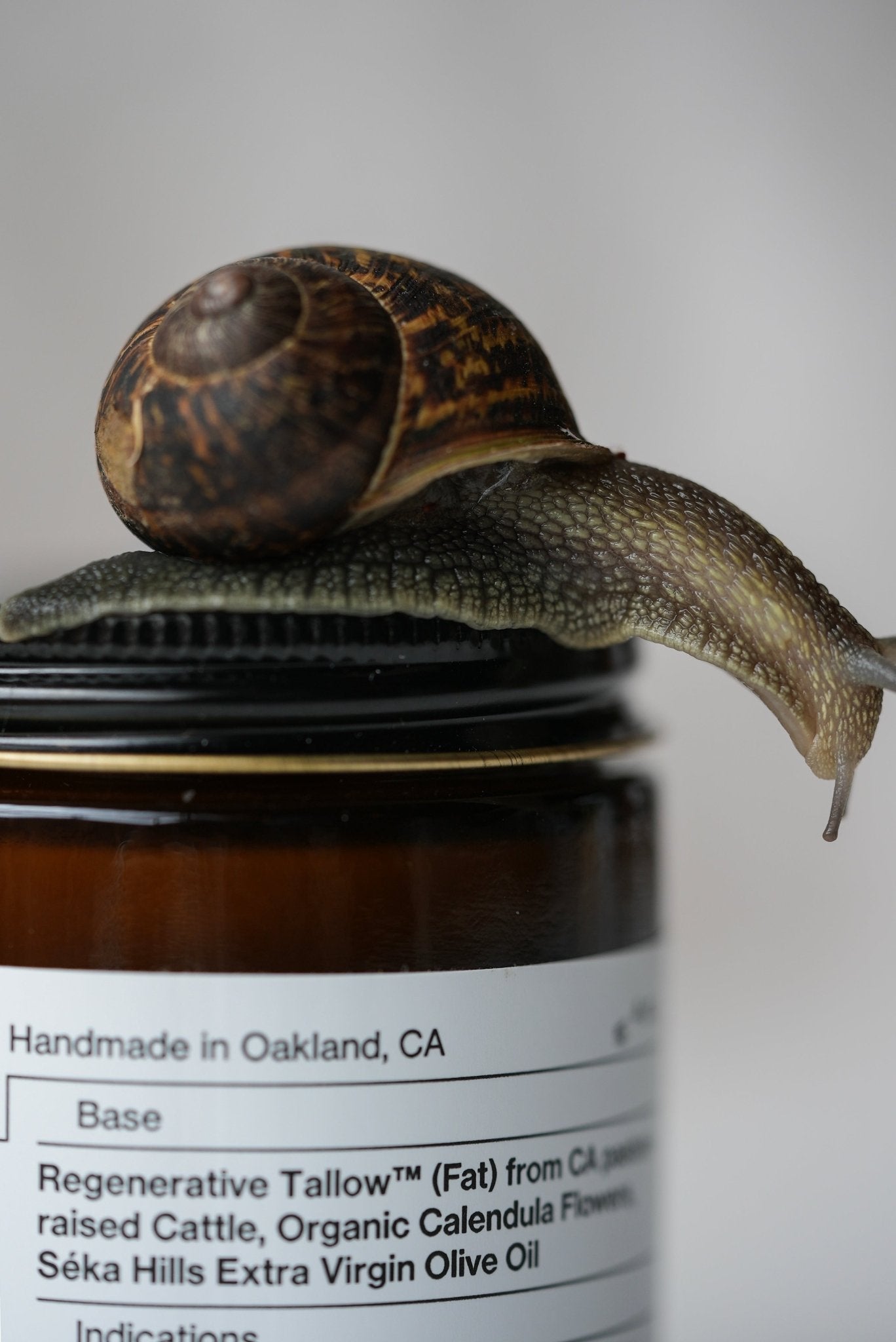 Snail on a jar labeled 'Handmade in Oakland, CA' with product details.